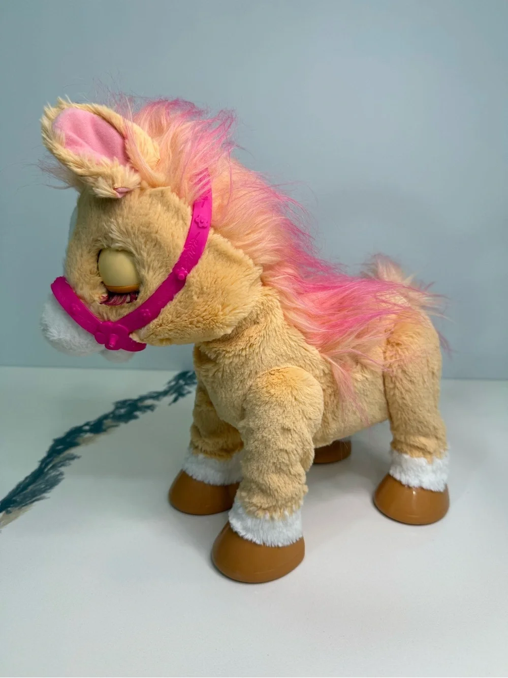 Furreal cinnamon my